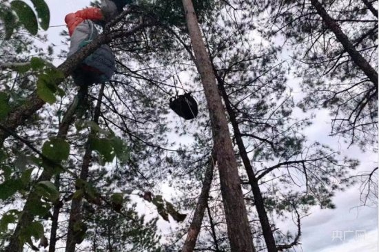 男子玩滑翔伞挂15米高树上 民警4小时救下