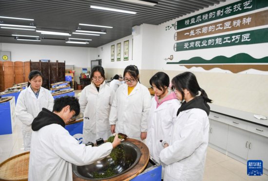 产教融合助推茶产业高质量发展
