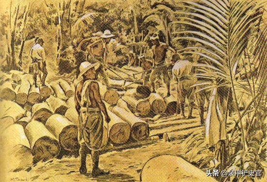 二战日军在太平洋岛屿修筑防御工事，建筑材料从<em>哪里</em>来？
