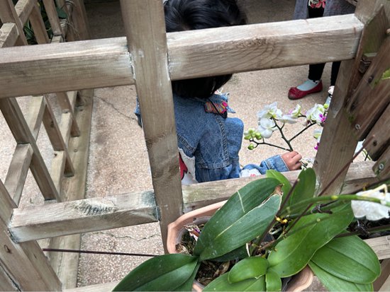 四月春意浓 重庆130名残疾儿童走进南山植物园感受自然