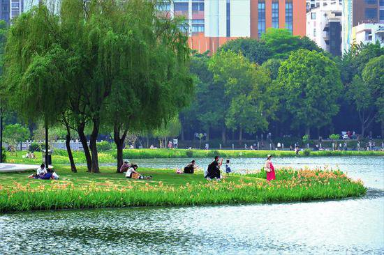 《广西壮族自治区实施〈城市绿化条例〉办法》修订并公开征求...