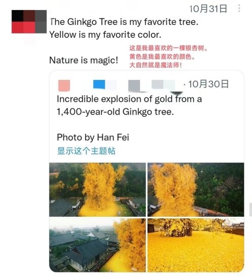 陕西这棵银杏树又双叒叕火了！外国网友：好想亲眼看看