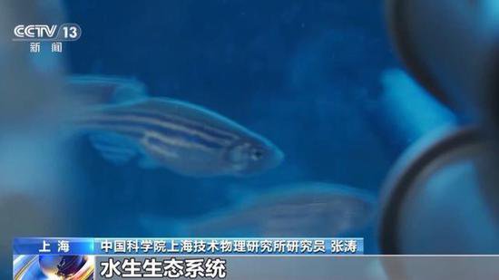 中国空间站将首次养鱼！太空中，怎么<em>给小鱼</em>喂食？