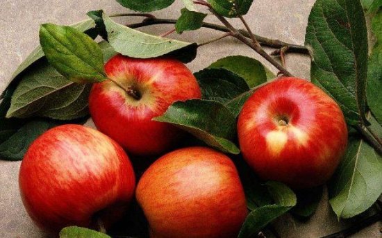 聪明的人爱吃苹果，<em>美容减肥</em>，防止心脏病，但不宜与一物同食！