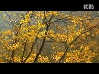 理查德/精彩视频音乐短片乡愁/理查德 克莱德曼钢琴曲/[&quot;IKU&...