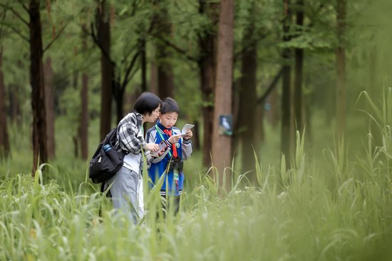 <em>杭州西溪</em>湿地亲子趣味观鸟赛圆满落幕