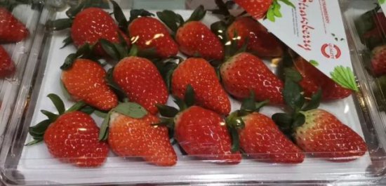 长在架子上的“悬空”草莓，你吃过吗？就在金山这里→