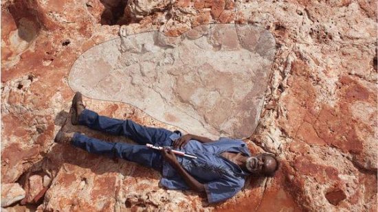 澳大利亚“侏罗纪公园”中发现一些世界上最大<em>的恐龙</em>足迹