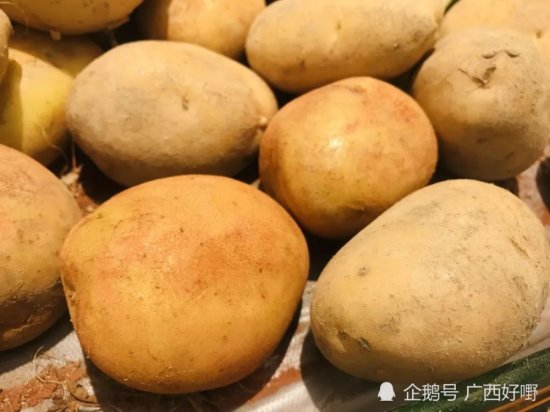 12316农技丨冬季<em>马铃薯种植</em>5项高产技术，快收藏！