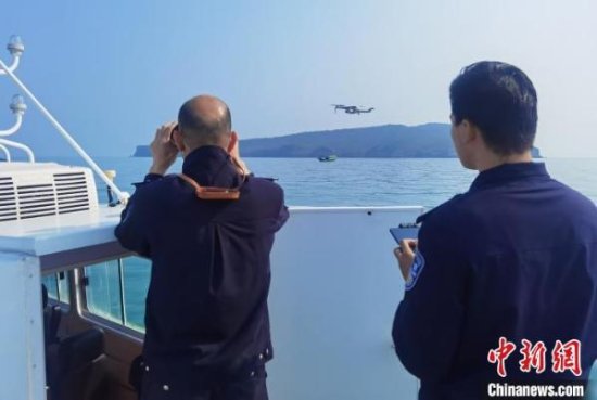 广西北海打击无序观鲸行为 该海域为中国大陆近海唯一发现活体...
