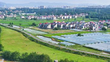 江西吉安：乡村大棚排列整齐 田野泛起新绿