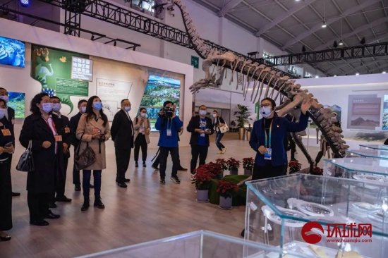 中国<em>第一个</em>3D打印<em>恐龙</em>骨架亮相，在昆明！