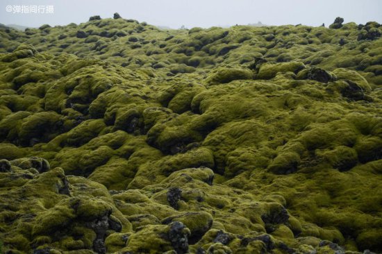 环游冰岛邂逅奇景，昔日被地震摧毁<em>的村庄</em>，如今被<em>诡异</em>苔原吞噬