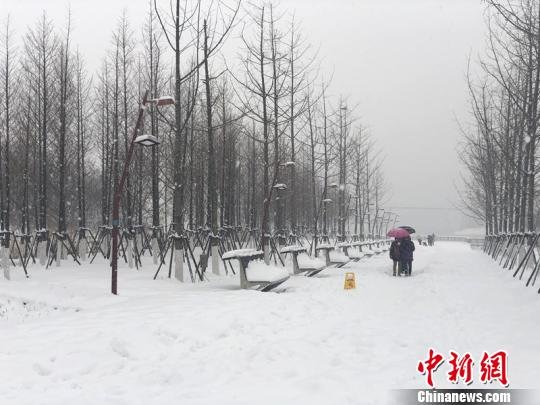 南京开启“暴雪”模式“秒变”雪城