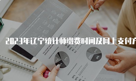 2023年辽宁统计师缴费时间及网上支付方式