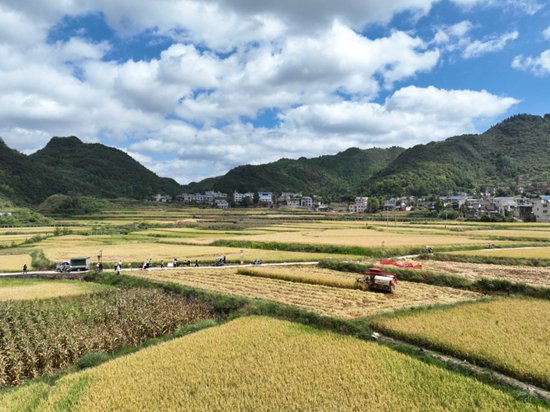 贵州瓮安开展2023年优质稻产业发展项目田间<em>测</em>产验收