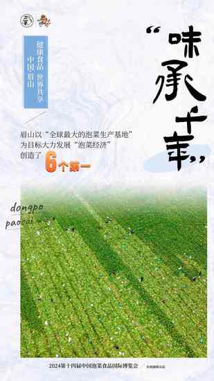 <em>九张</em>海报，解析东坡泡菜产业发展密码