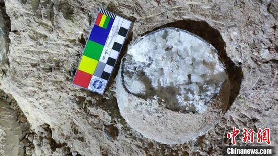 湖北首次发现世界罕见的结晶恐龙蛋化石