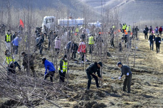 乌鲁木齐开展春季绿化义务植树活动