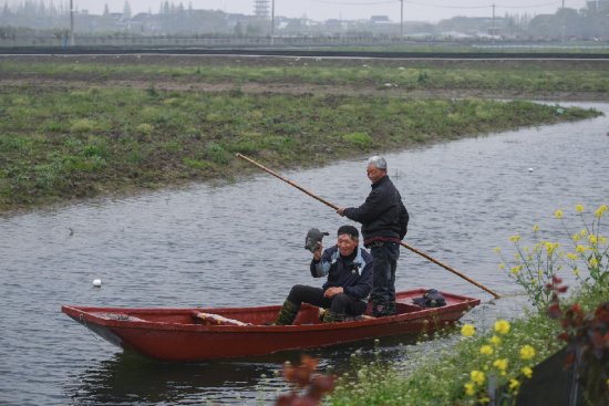 浙江湖州：“生态混养”助推乡村现代农业