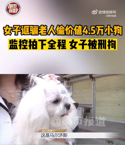 女子偷4万多元名贵犬，警方：该女子已被刑拘