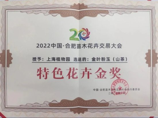 上海植物园自主培育的束花茶花品种获特色花卉金奖