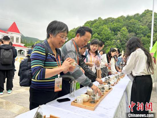 促进茶旅经济共生 2024庐山云雾茶文化旅游节开幕