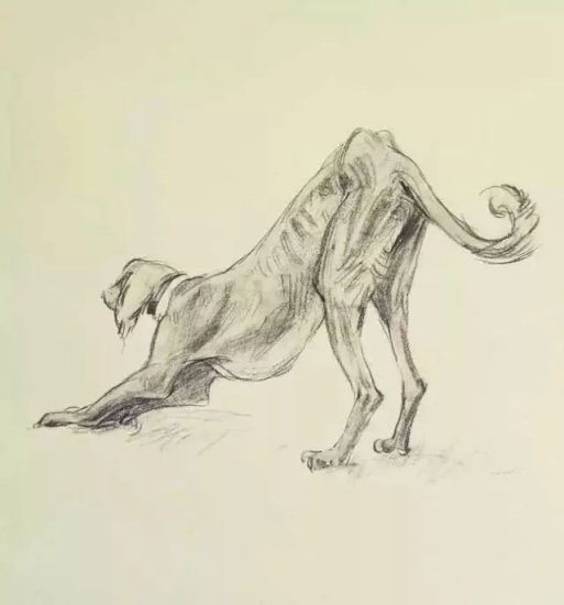 <em>十大猛犬</em>素描画，艺术与野性的碰撞