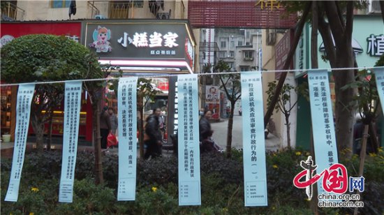 石棉县开展2023年“12.4”宪法宣传日活动