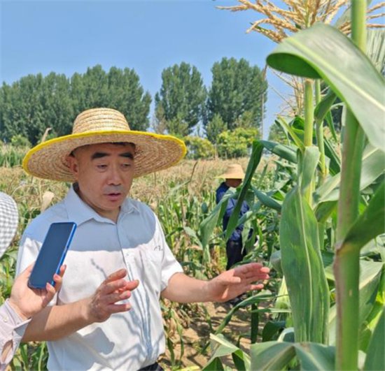 2023年京津冀鲜食玉米产业大会暨第九届北京鲜食玉米节顺利召开