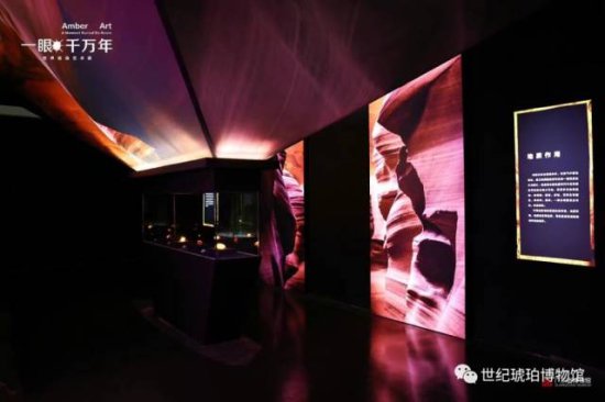 “一眼千万年——世界琥珀艺术展”省博开展，共享一场琥珀盛宴