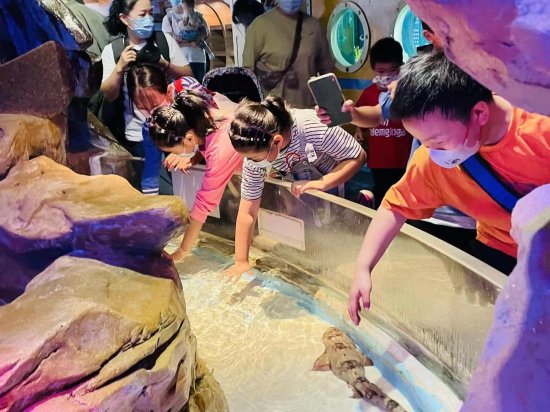 童眼看海洋！T3出行组织结对家庭孩子游览南京<em>海底世界</em>