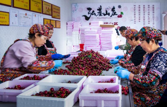 山东烟台：大樱桃背后的“春日经济”