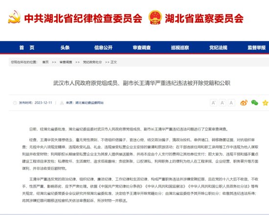 武汉市人民政府原党组成员、副市长王清华严重违纪违法被开除...