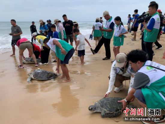 <em>用爱</em>送海龟回家及水生生物放流活动在海南陵水举行