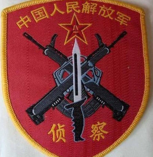 中国军衔上的枪是什么型号？这些部队纹章也太有趣了