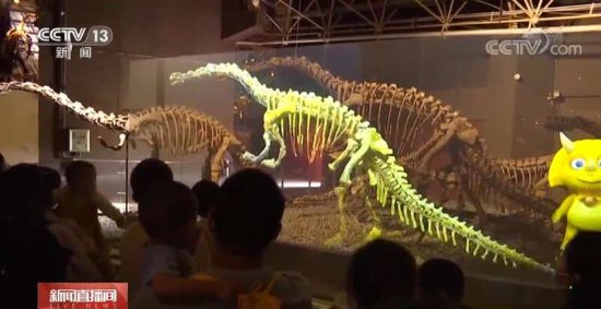 <em>恐龙</em>的祖先是什么？穿越亿万年，一起探索远古的<em>奥秘</em>