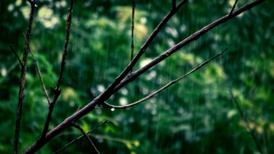 雨水 | 季羡林：下雨天，做一个兴高采烈的俗人