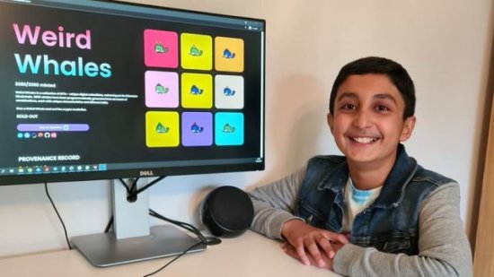 12岁英国男孩用<em>代码</em>创造鲸鱼像素图赚得百万