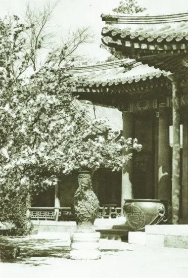 旧京图说｜皇家园林、寺庙和四合院，旧京赏花路线在这里