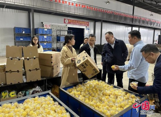 宜宾市政协副主席李廷根到沙河考察柠檬产业发展
