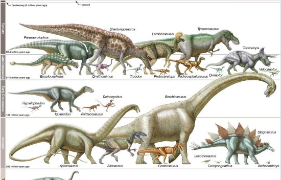 <em>恐龙</em>存在1.7亿年，为何没有<em>演化出</em>智慧？科学家：技能点早了