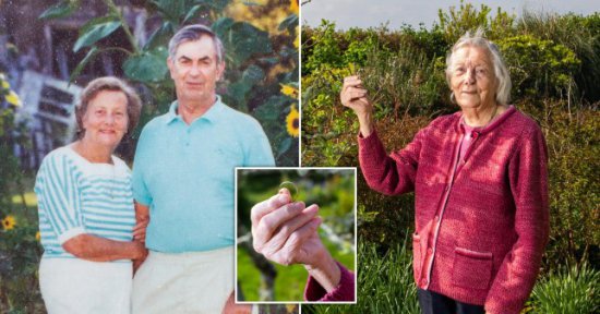 老妇在花园里找到已故多年的丈夫的结婚戒指