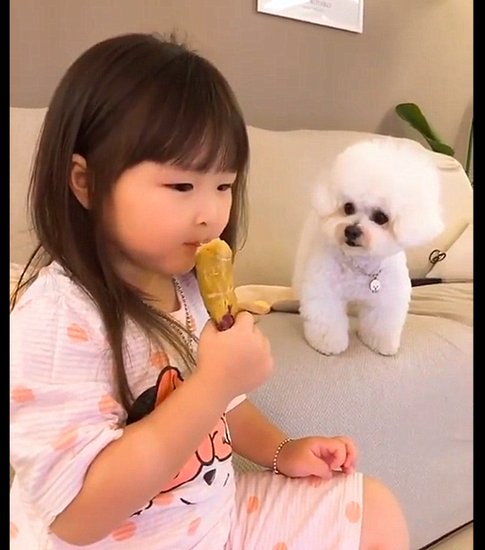 女儿正在吃红薯，狗狗一直盯着她都不眨眼的：给我留<em>一点啊</em>！