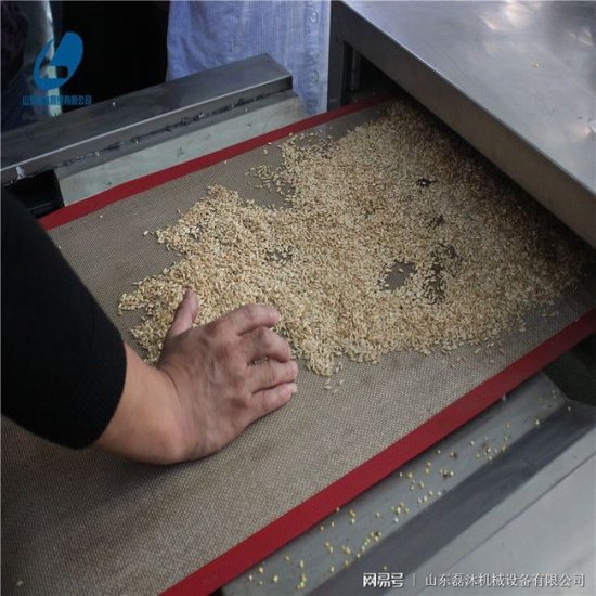 小麦胚芽是怎样做到快速烘干的/山东地区生产隧道微波烘干机<em>厂家</em>