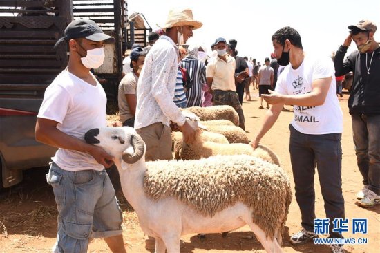 摩洛哥：<em>宰牲节</em>前的牲畜市场