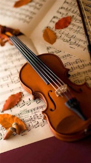全世界<em>最优美的</em>小提琴协奏曲都在这里了