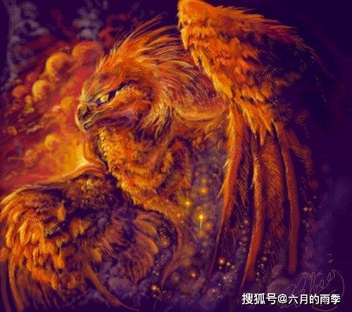 不死鸟与凤凰是上古神话中截然不同的两种神兽，人们常将它们...