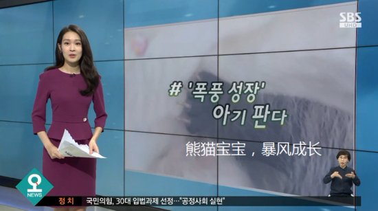 韩媒：在韩国降生的首只大<em>熊猫宝宝</em>取名为“福宝” 近照曝光