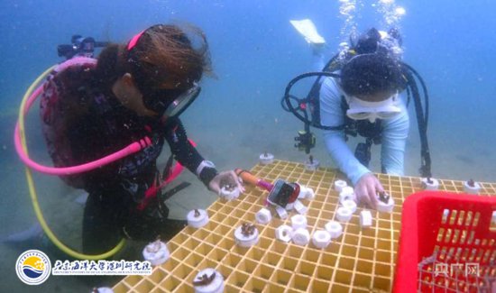 深圳渔博会邀约 在海底认养一株属于你自己的珊瑚